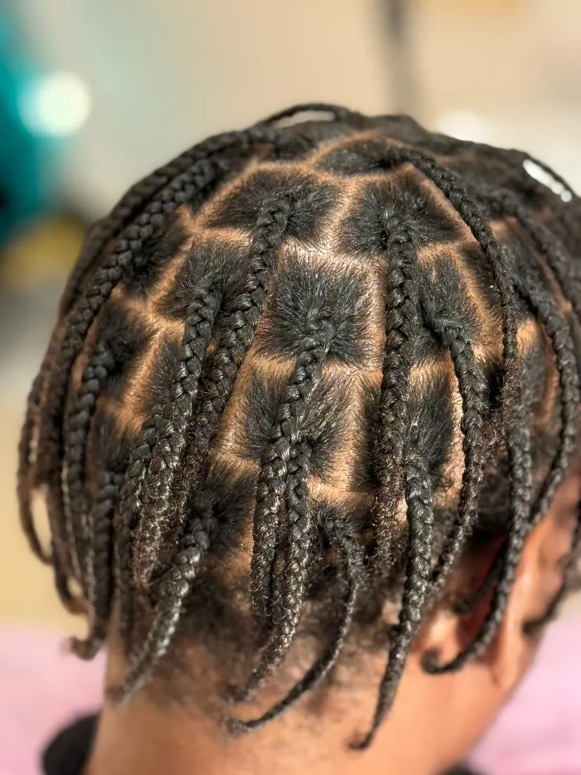 Wig and braid styling at Zena's Hair & Beauty Lounge — photo 2